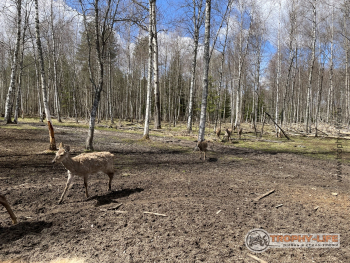 Фото Трофи-лайф 4х4 покатушкаэкспедиция Тверской Край 1-2.05.22 - 204.JPG