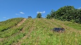 20260801_115957.jpg