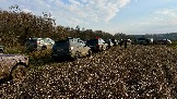 IMG_7560.jpg