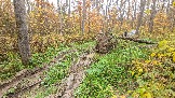 20251011_125534.jpg