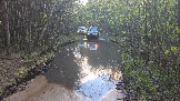 20250509_180810.jpg