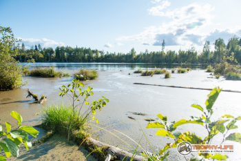 _DSC2947.jpg