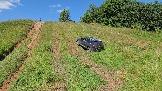 20260801_120603.jpg