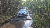 20250509_181316.jpg