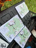 IMG_7166.JPG