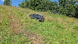 20260801_120658.jpg