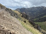 IMG_8608.JPEG