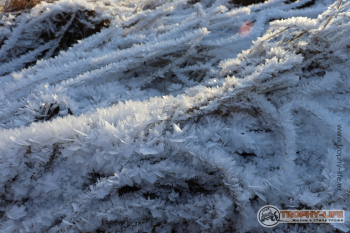 Фото Трофи-лайф 4х4 покатушка Южные Косогоры 12.12.20 - 156.JPG