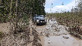20250426_124531.jpg