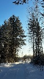 IMG_3007.JPG