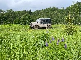 IMG_8785.JPG