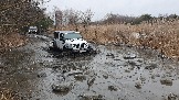 20250315_111854.jpg