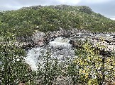 IMG_9374.jpeg