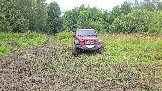 20250801_141531.jpg