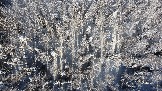 DJI_0999.JPG