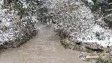 Фото Трофи-лайф 4х4 покатушка Новоистринские Просеки 28.10.23 - 457.jpg