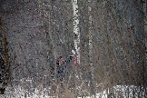 LKV_6215.JPG