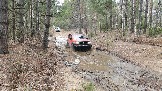 20250315_121215.jpg