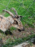 IMG_20260613_135447_614.jpg