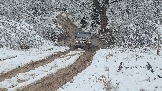 20251115_123759.jpg