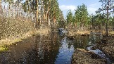 2025-04-19 16-06-33.JPG