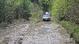 20260510_120206.jpg