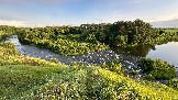 IMG_1377.jpg