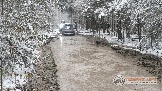 Фото Трофи-лайф 4х4 покатушка Новоистринские Просеки 28.10.23 - 357.jpg