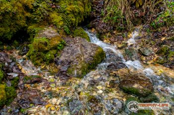 _MG_8358.jpg