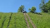 20260606_143206.jpg