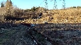 Трофи-лайф фото 4х4 покатушка Дмитровская Игрушка 08.03.2025 - (90).jpg