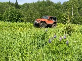 IMG_8765.JPG