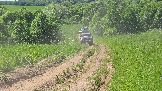 20260606_143854.jpg