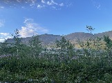 IMG_9264.jpeg
