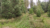 Трофи-лайф фото 4х4 покатушка Каширский зигзаг 17.08.2024 -  (2).png