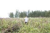 LKV_1499.JPG