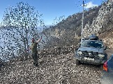IMG_8537.JPEG