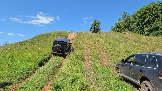 20260801_120529.jpg