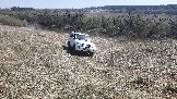 20250420_132056.jpg