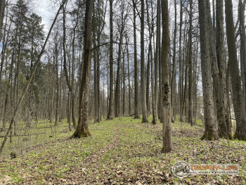 Фото Трофи-лайф 4х4 покатушкаэкспедиция Тверской Край 1-2.05.22 - 181.JPG