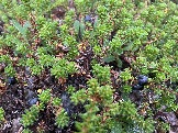 IMG_9335.jpeg