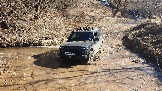 20250308_115026.jpg