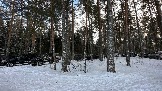 IMG_5533.jpg