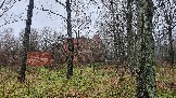 20231106_133138.jpg