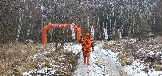 20241130_125233.jpg