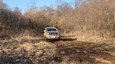 20250316_163035.jpg