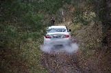 IMG_8801.jpeg