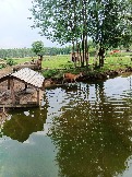 IMG_20260613_135750_218.jpg