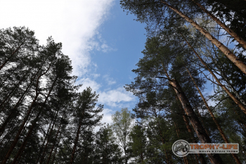Фото Трофи-лайф 4х4 покатушка-экспедиция Мещерские Озёра 8-9.05 (91).jpg