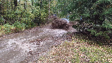 Трофи-лайф фото 4х4 покатушка Шатурские Тайны 28.09.2024 -  (56).png